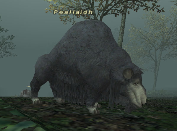 File:Peallaidh.jpg