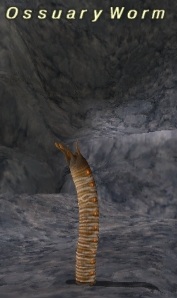File:Ossuary Worm.jpg