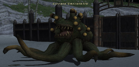 File:Cirrate Christelle.jpg