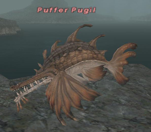 File:Puffer Pugil.jpg
