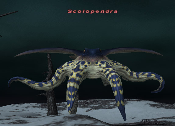 File:Scolopendra.jpg