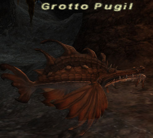 File:Grotto pugil.jpg