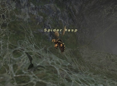 File:Spider Wasp.jpg