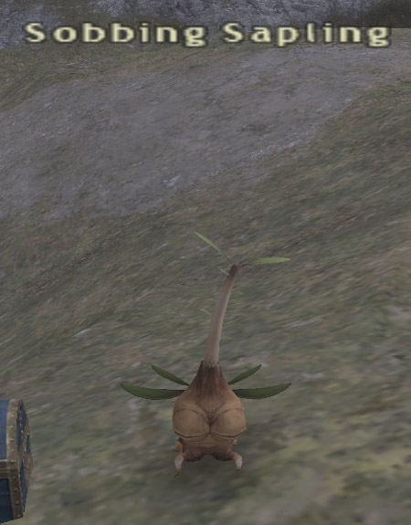 File:Sobbing Sapling.jpg
