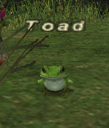 File:Toad.jpg