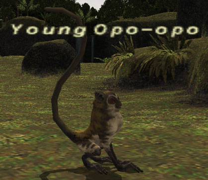File:Young Opo-opo.jpg