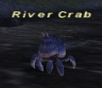File:River crab.jpg
