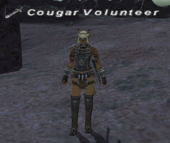 File:Cougar Volunteer.jpg