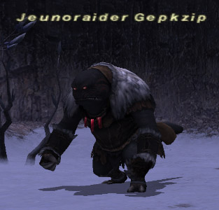 File:Jeunoraider Gepkzip.jpg