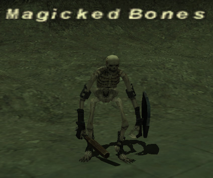 File:Magicked bones.jpg