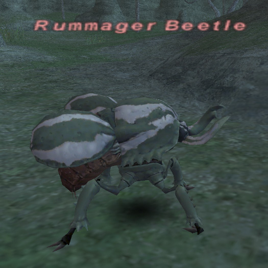 File:Rummager Beetle.jpg
