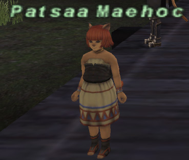 File:Patsaa Maehoc.jpg