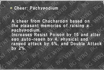Cheer: Pachypodium