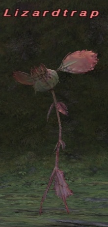 File:Lizardtrap.jpg