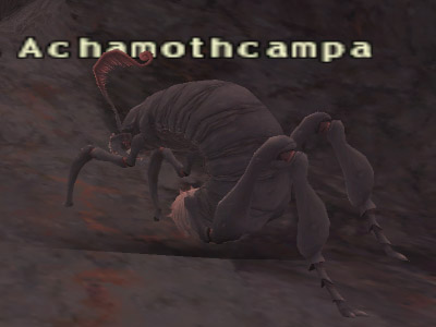 File:Achamothcampa.jpg