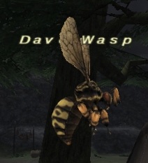 File:Davoi Wasp.jpg