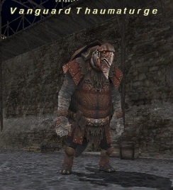 File:Vanguard Thaumaturge.jpg