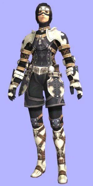 File:Ebur Harness Set.jpg