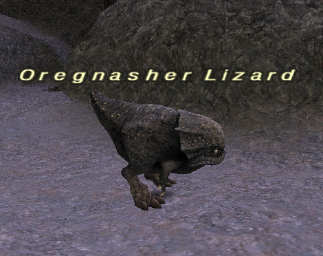 File:Oregnasher Lizard.jpg