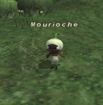 File:Mourioche.jpg