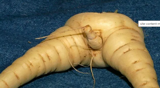 File:Taint.png