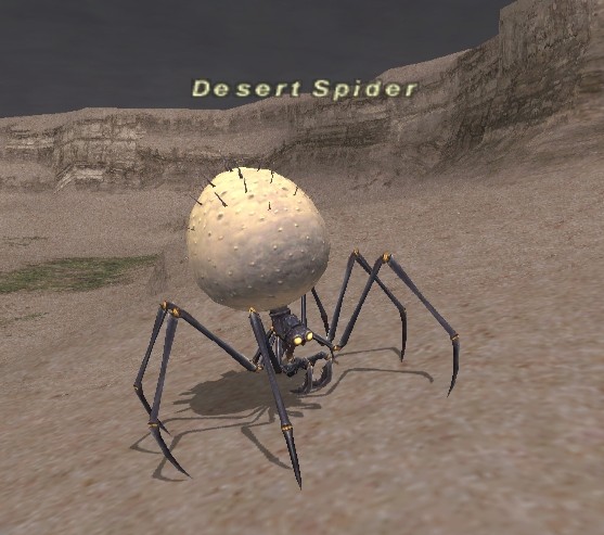 File:Desert Spider.jpg