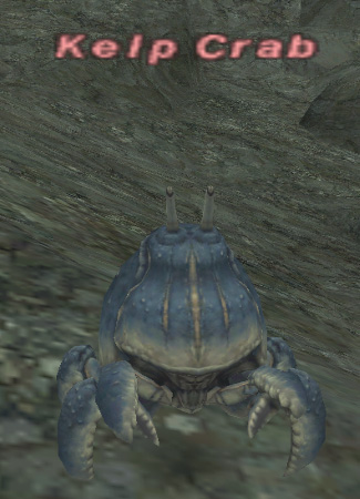 File:Kelp crab.jpg