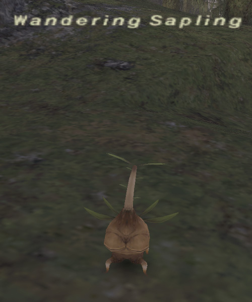 File:Wandering Sapling.jpg