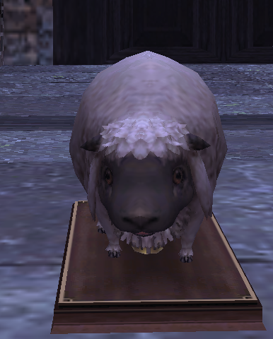 File:Pollamb2.png