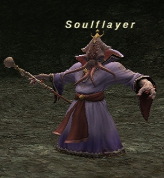 File:Soulflayer.jpg