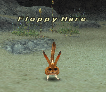 File:Floppy Hare.jpg