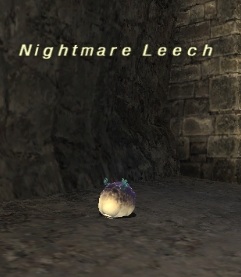 File:Nightmare Leech.jpg