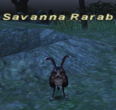 File:Savanna Rarab.jpg