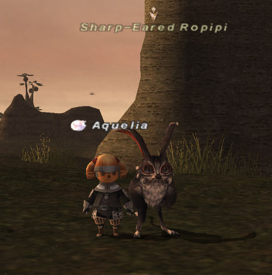 File:Sharp-Eared Ropipi.jpg