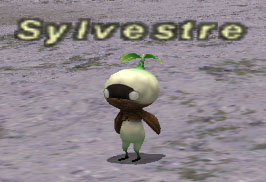 File:Sylvestre.jpg