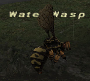 File:Water Wasp.jpg