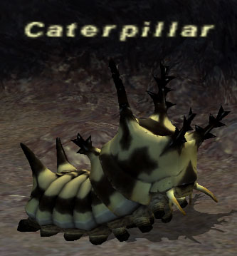 File:Caterpillar.jpg