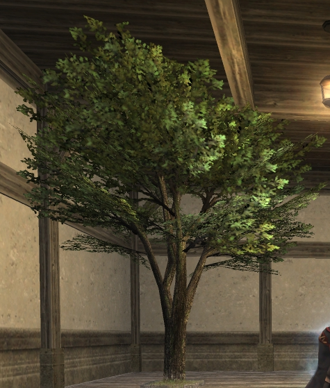 File:Birch Tree.png