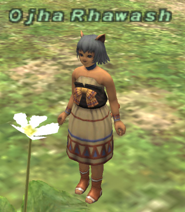 File:Ojha Rhawash.jpg