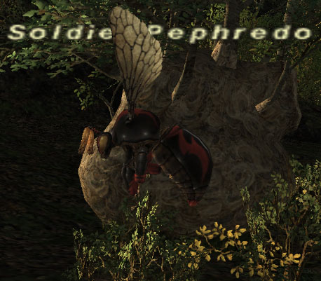 File:Soldier Pephredo.jpg