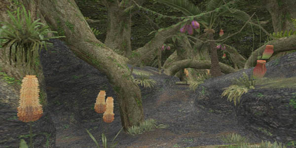 File:Yhoator Jungle header.jpg