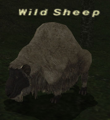 File:Wild Sheep.jpg