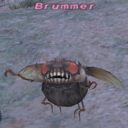 File:Brummer.jpg
