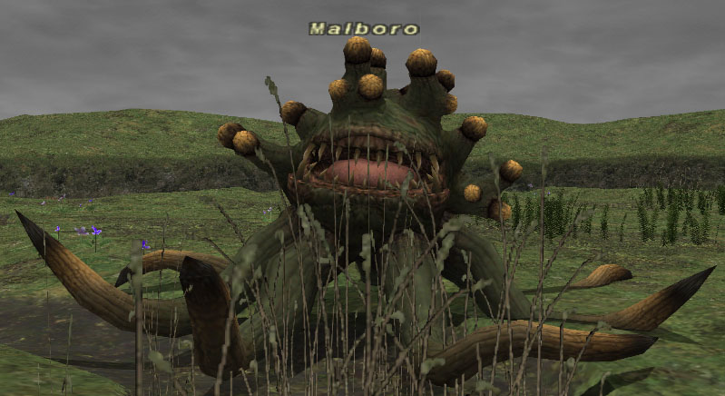 File:Malboro.jpg