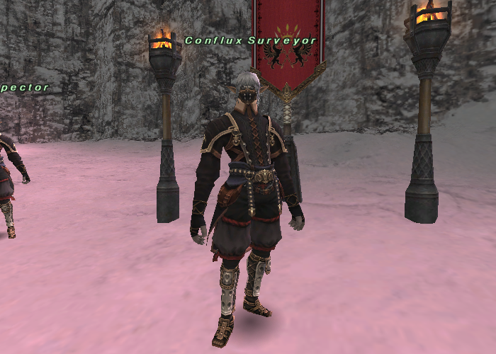 File:Conflux Surveyor (Uleguerand).png