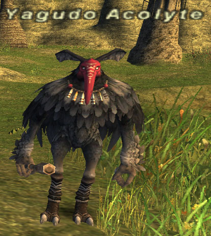 File:Yagudo Acolyte.jpg