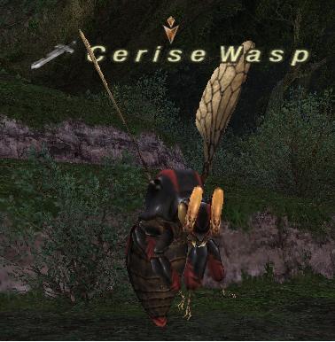 File:Cerise Wasp.jpg