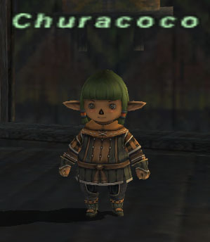 File:Churacoco.jpg