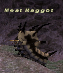 File:Meat Maggot.jpg