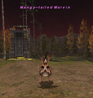 File:Mangy-tailed Marvin.jpg